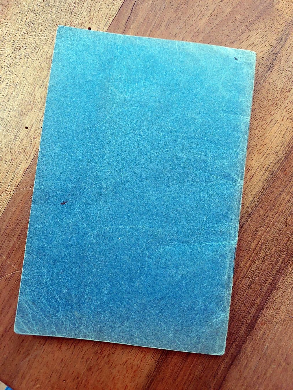 Libri: SBB Kontrolle über den Stellvertretungs-Dienst - 1951 – Usato da Schönenwerd venduto da Steidi 5