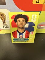 NOR 20 - Panini WM 2026 