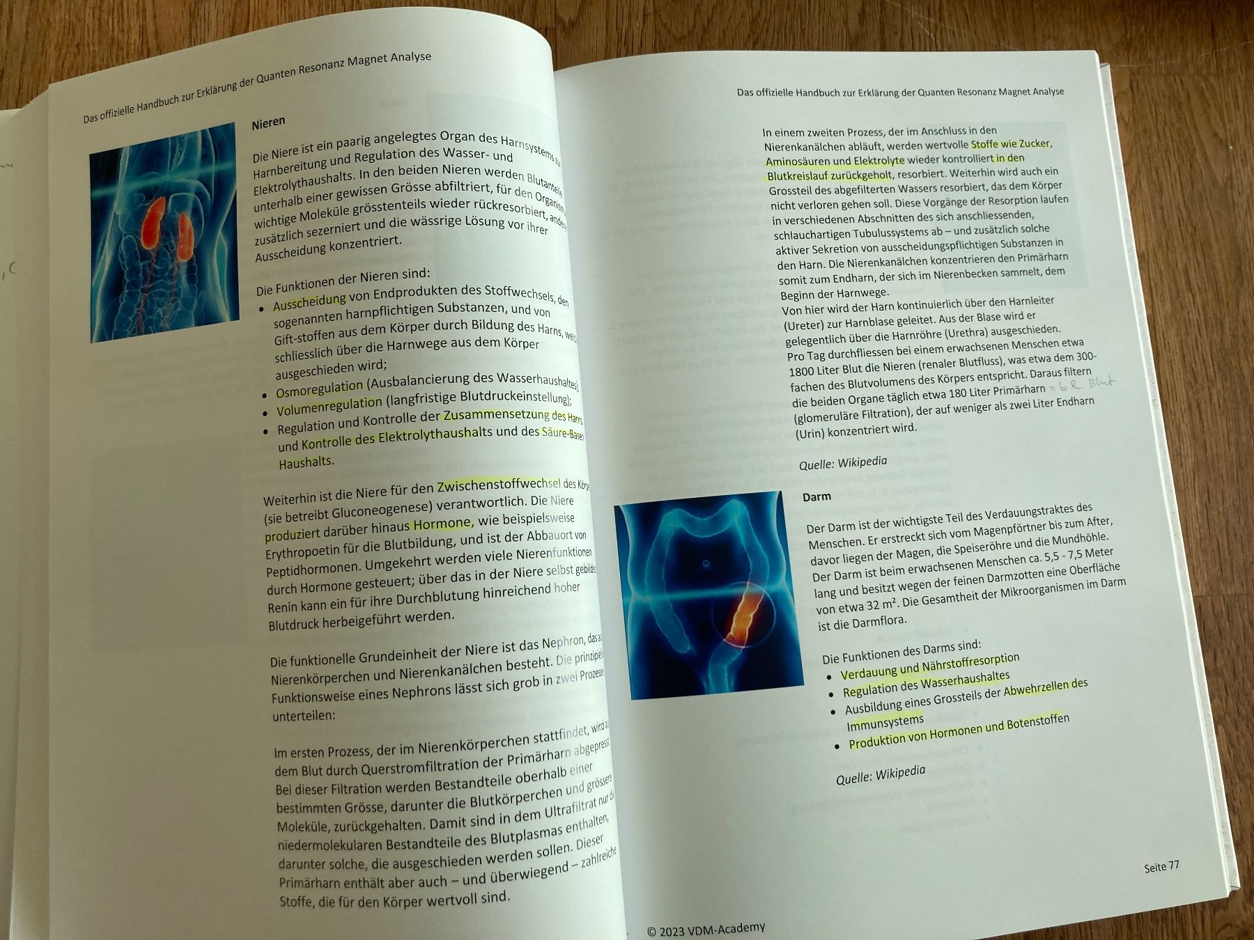 Mesurer: Quanten Resonanz Magnet Analyse Gerät mit Buch VDM-Academy – D'occasion à Erstfeld par Pfiffholder 6