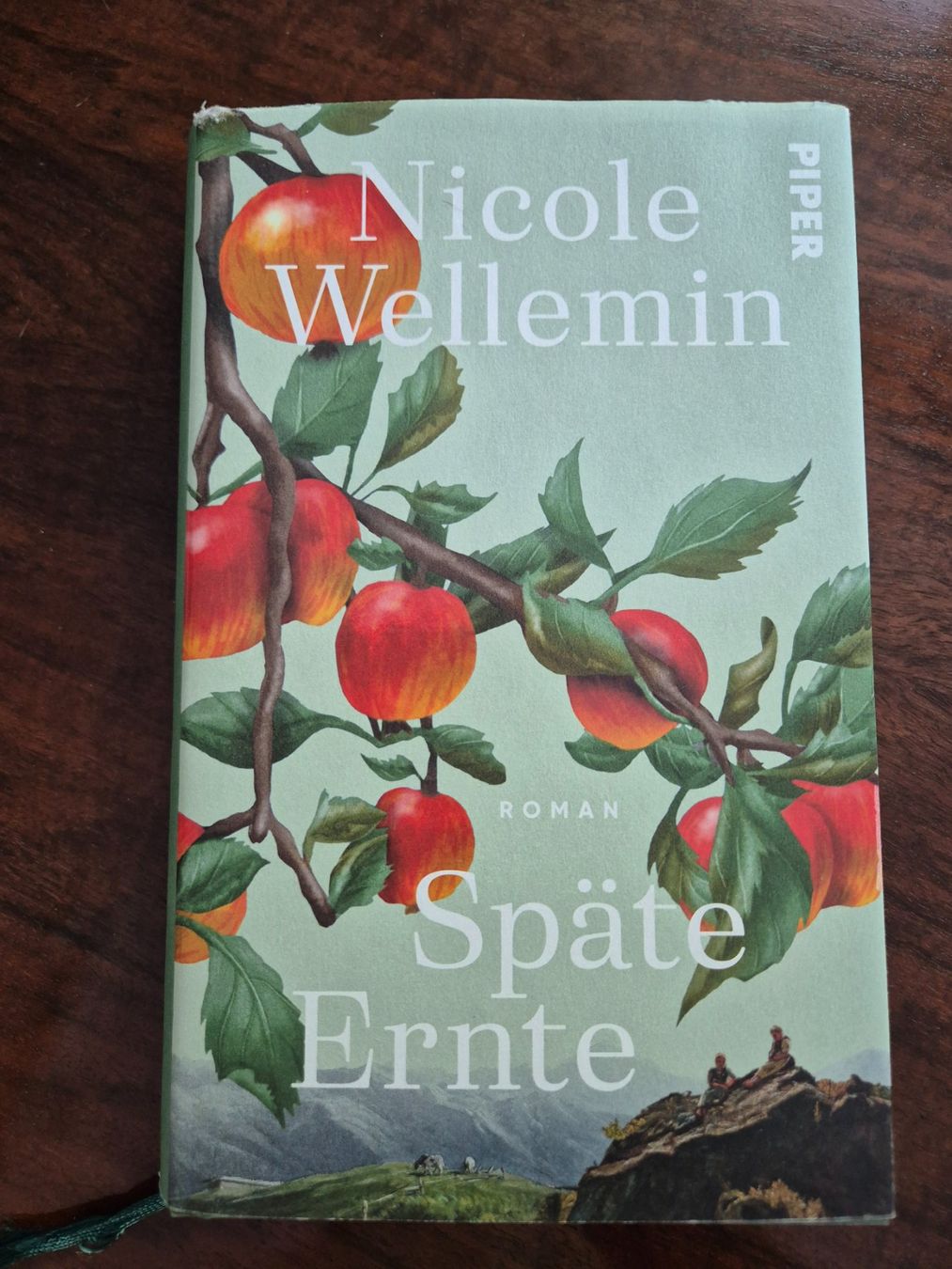 Libri: Späte Ernte - Nicole Wellemin – Usato da Luzern venduto da Rafa.s