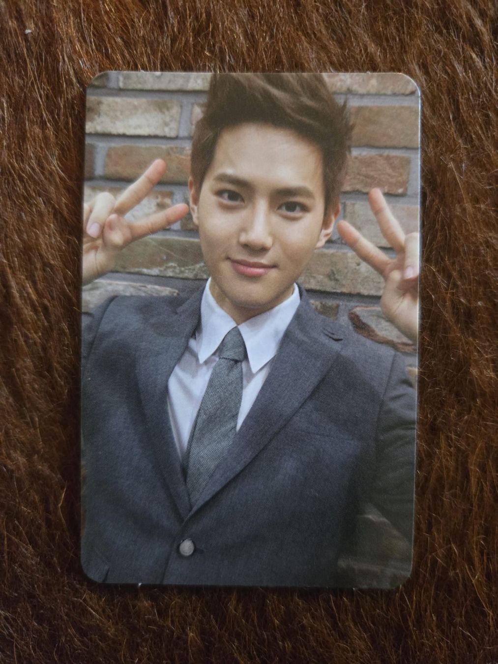 CDs: EXO-M - XOXO Repackage "Hug" Version (Chinese) – Gebraucht aus Esslingen von MaximeNi 3