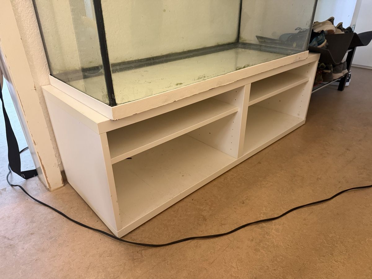 Aquarium: Aquarium – Gebraucht aus Horgen von yvesseinet 2