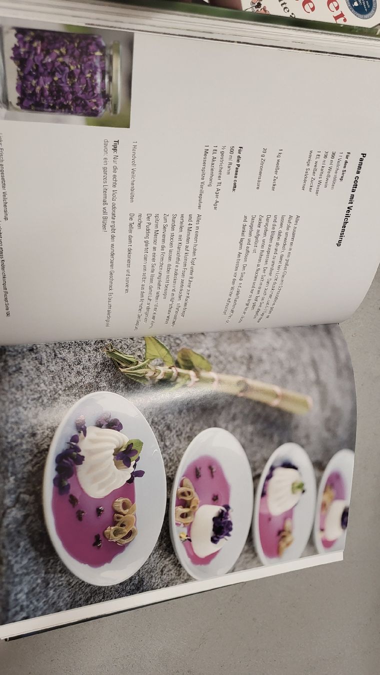 Libri: Meine wilde Pflanzenküche – Usato da zürich venduto da wuscheli0102 5