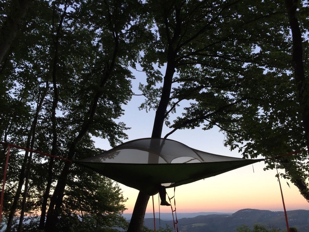 Tentsile Stingray Tree Tent Kaufen auf Ricardo