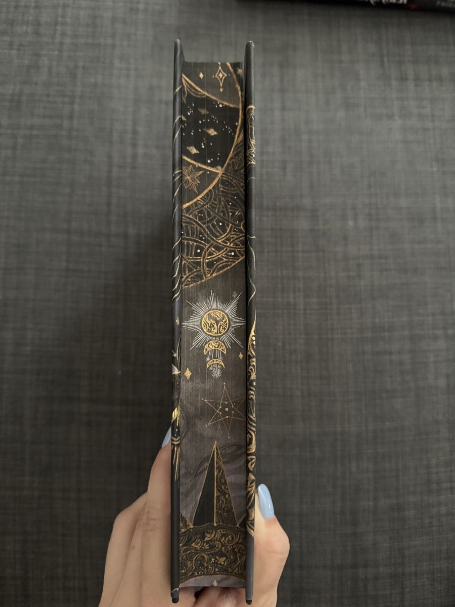 Libri: Fallen City Fairyloot Special Edition – Nuovo (secondo la descrizione) da Schwyz venduto da sar_6zp9 1