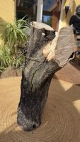 Oliven-Holzstamm natur belassen guter Zustand