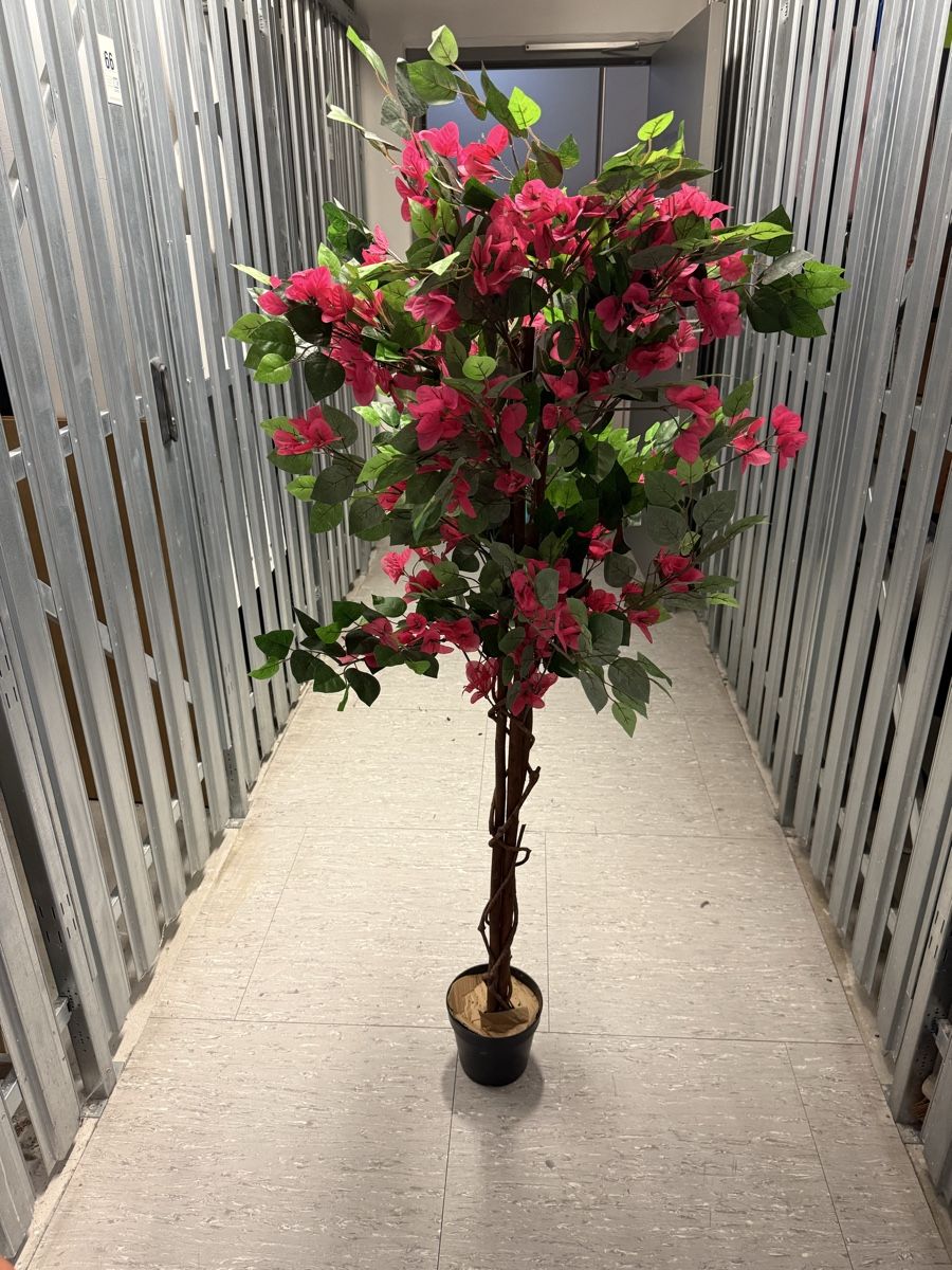 Tutte le decorazioni: Bougainvillea, Kunstpflanze, rot, 150cm – Nuovo (secondo la descrizione) da Schindellegi venduto da HeroMan.