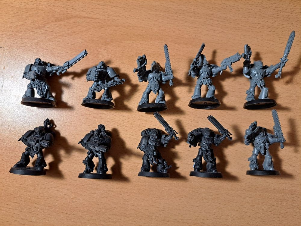 Warhammer 40k 10x Space Wolves Firstborn Marines (Gebraucht) in Biel ...