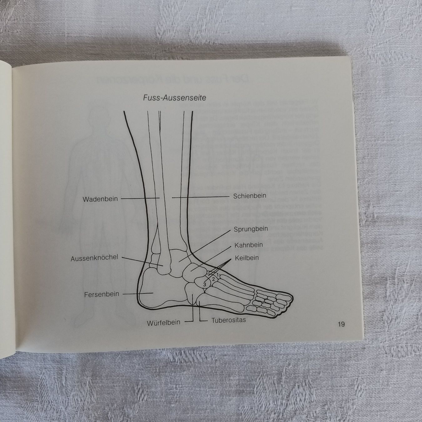 Libri: Fusssprache Reflexzonenmassage   Erik Jönsson – Usato da Bäretswil venduto da ricoric 3
