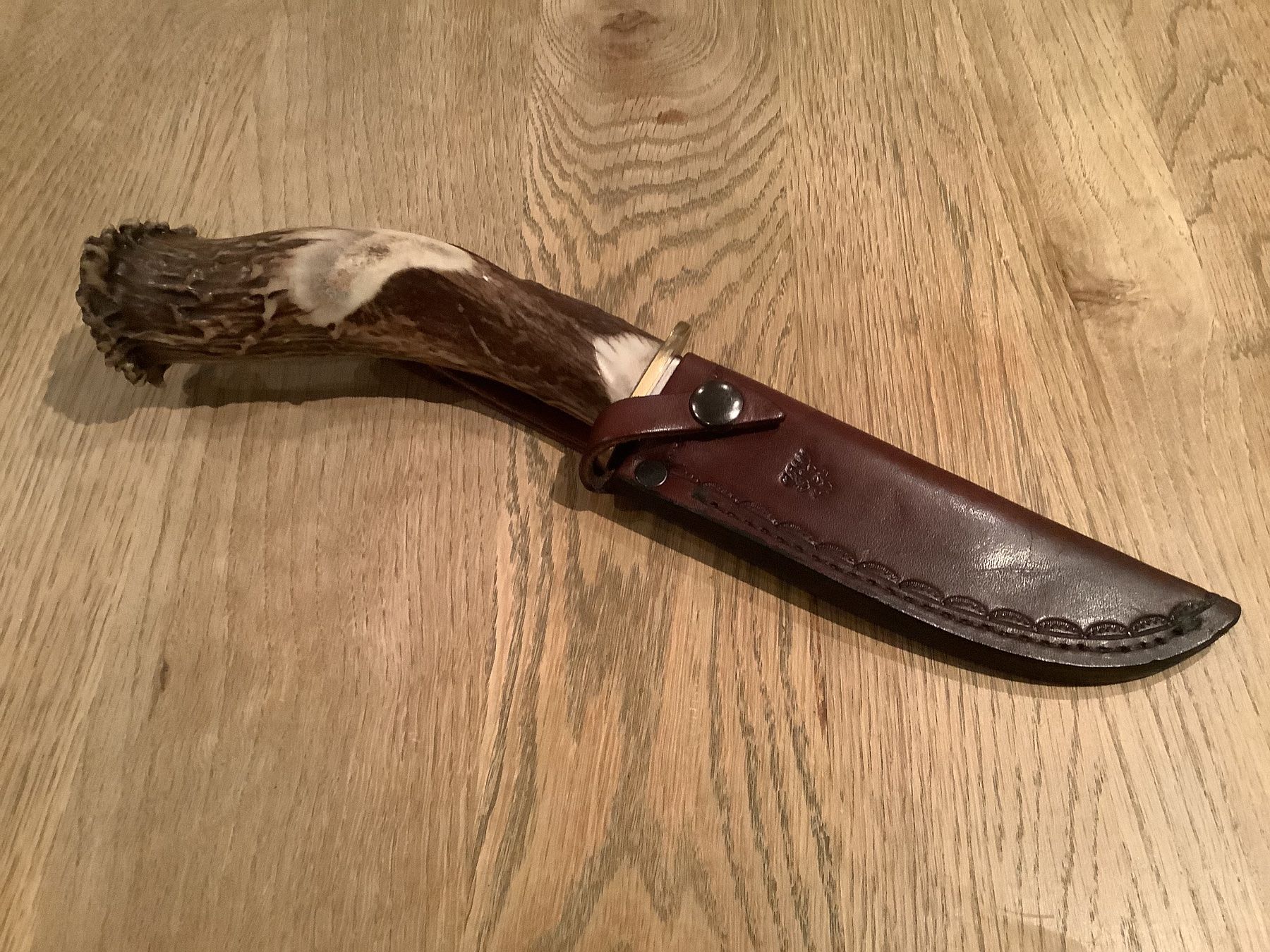Accessoires: Jagdmesser mit Horngriff – Neuf (Voir description) à Mägenwil par Extra04 1