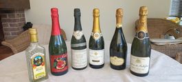 6 Flaschen Wein und Sekt Verschiedene Marken