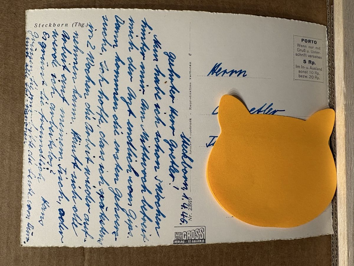 Cartoline postali: AK von Steckborn – Usato da Rümlang venduto da Kartenpost1 1