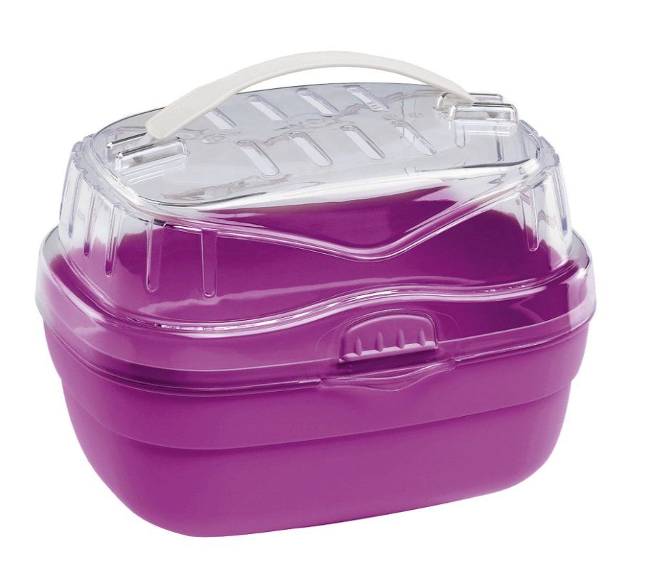 Terrario: Glasterrarium für Hamster – Usato da Rüthi (Rheintal) venduto da Foxy25 2