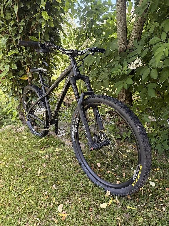 Velos: Dartmoor Primal L Hardcore Hardtail | DT Swiss | Mullet – Gebraucht aus Root von Kaiteur
