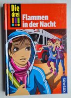 Die drei !!!     🧡     Flammen in der Nacht   /   Band 63