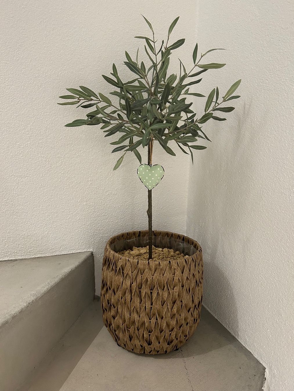 Pflanzen & Samen: Bloomingloft Kunstolivbaum – Neu (gemäss Beschreibung) aus Diegten von ste_pvd5