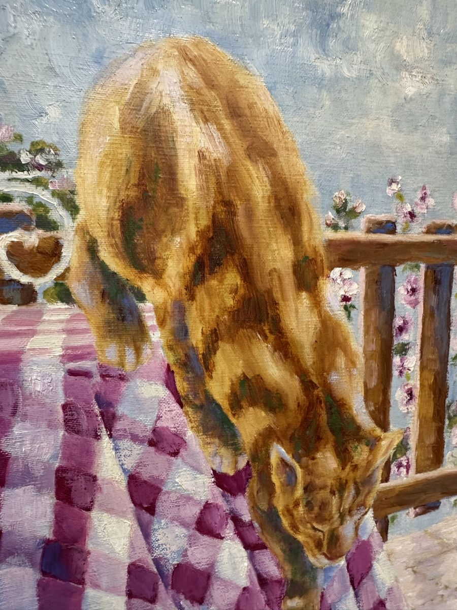 Gemälde: Original "Resting Cat" Oil Painting Framed - Summer – Gebraucht aus Morges von SevArt 5