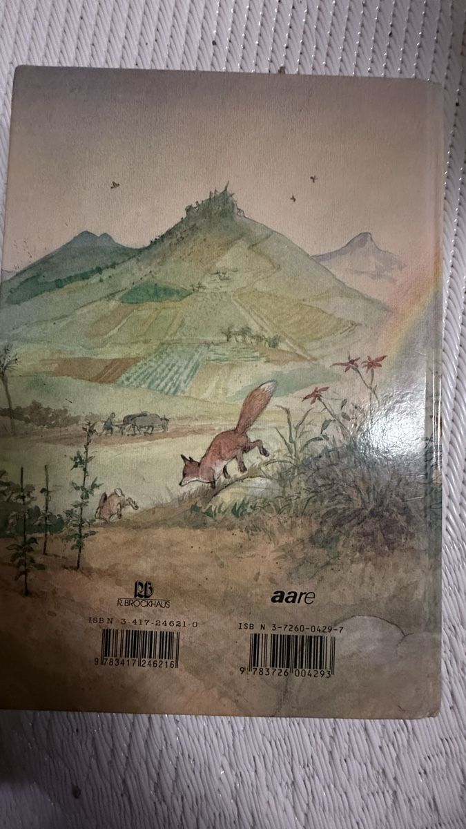 Libri: Kinderbibel - Was der Regenbogen verspricht,Top Zustand – Usato da Zürich venduto da Krikri21 1