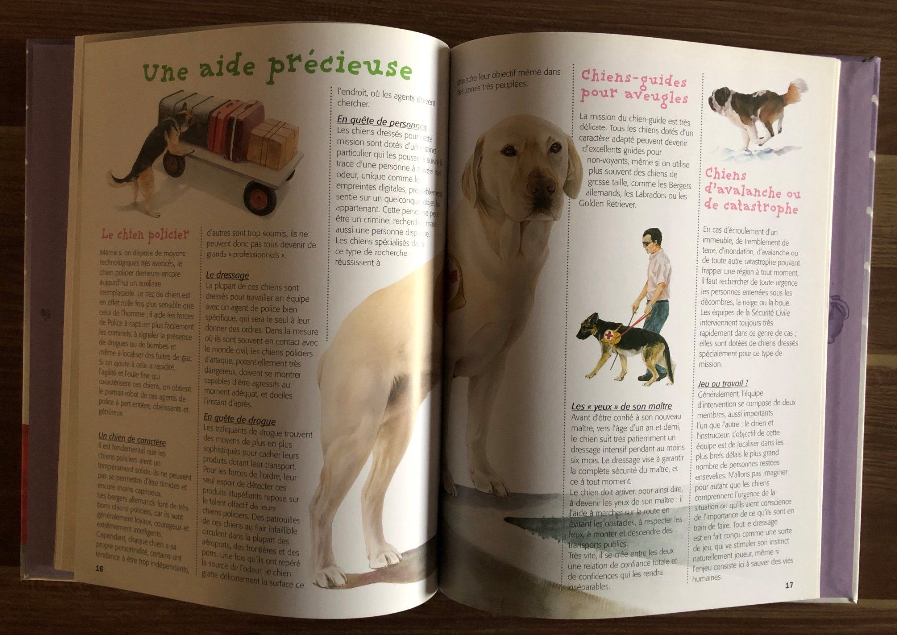 Libri: Chats, Chiens - Guide pour les connaître – Usato da Fribourg venduto da Alexia90 3