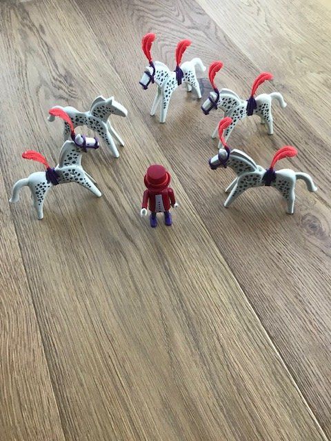 Playmobil Spielzeuge: Playmobil (Pferdedressur) – Gebraucht aus Herisau von ErWi9100