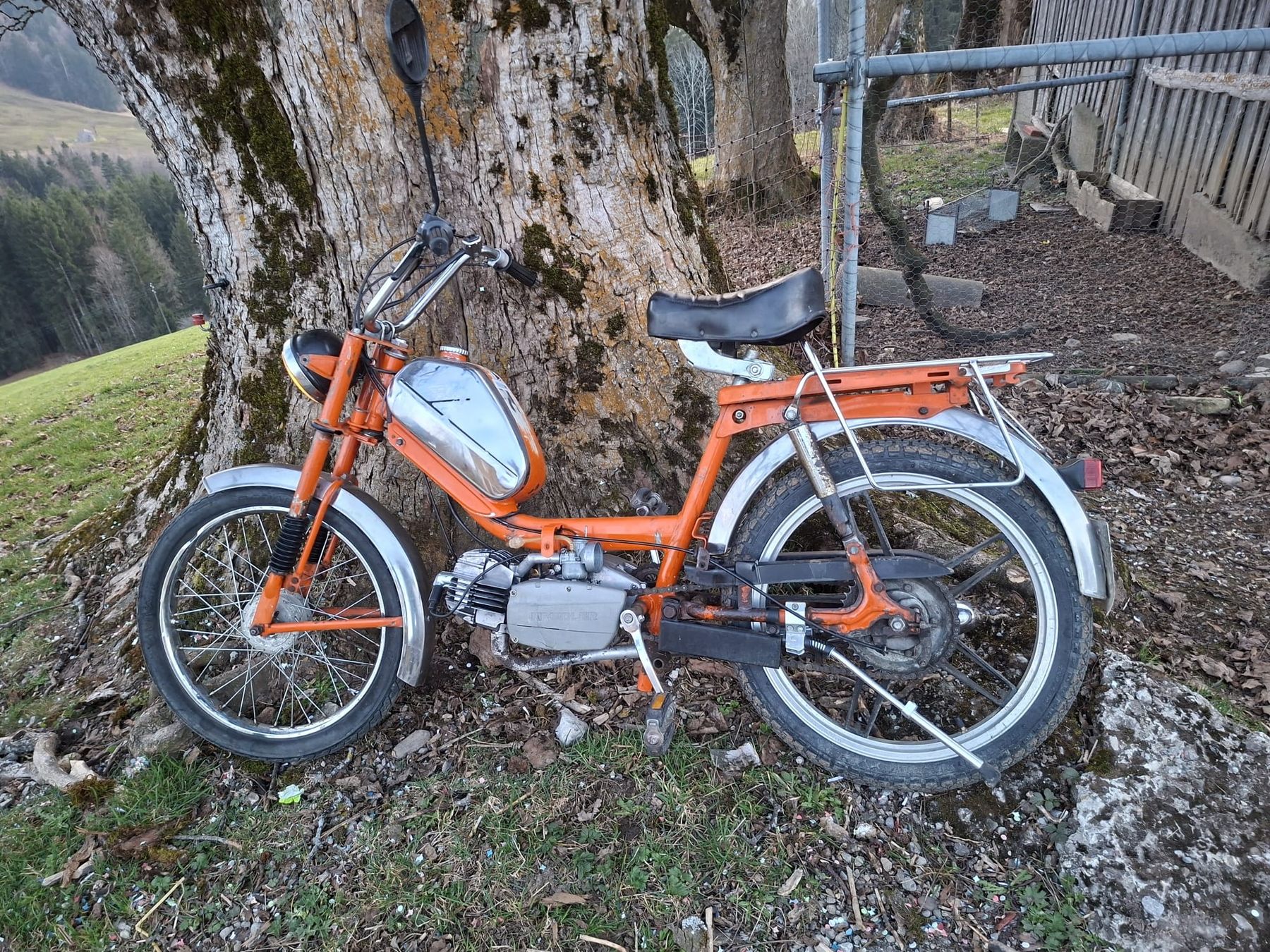 Kreidler Mofas: Kreidler Mofa orange  – Gebraucht aus Urnäsch von sal_t9pk 5