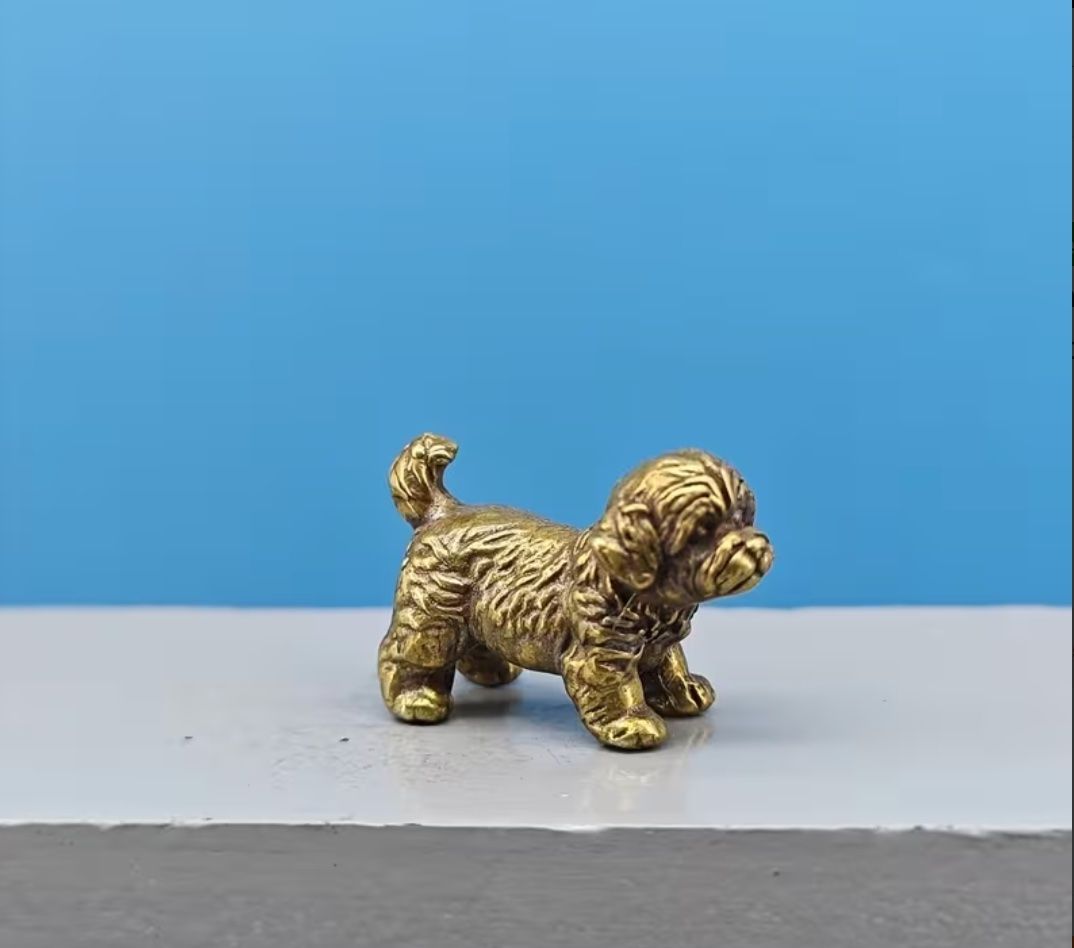 Statuette: Shih Tzu Miniaturfigur aus massivem Messing – Nuovo (secondo la descrizione) da Langenthal venduto da Seelenfreunde 1