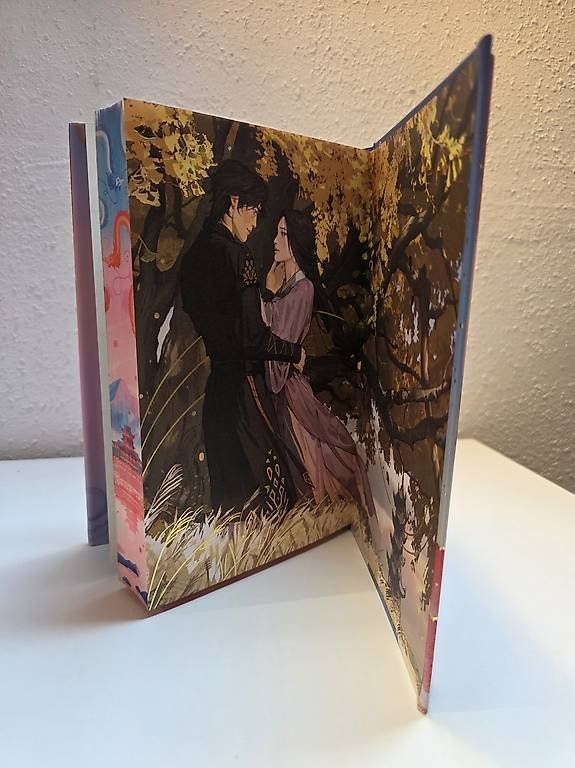 Libri: Fairyloot: Never ever after – Nuovo (secondo la descrizione) da Schlatt TG venduto da severine99 3