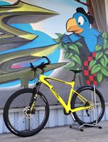 BMC Teamelite 02 Carbon XL ( Sommer-Aktion )