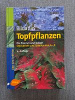 Bildatlas Topfpflanzen Ulmer Verlag 4. Auflage