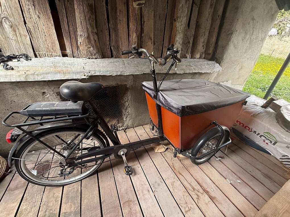 Vélos: Baboe velo électrique  – Défectueux à Les Posses-sur-Bex par ali_5kpt
