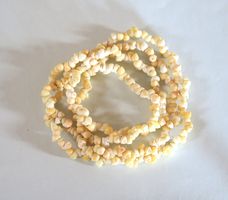 Muschelkette