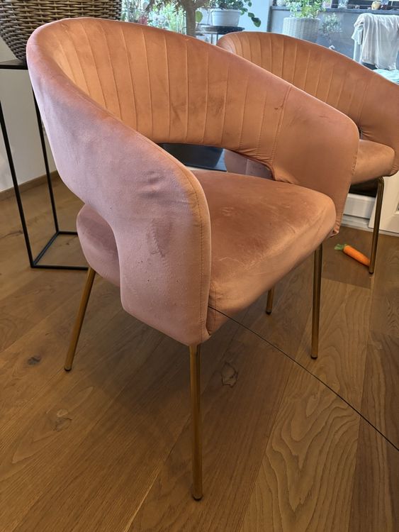 Livique, Rosa Samt Stuhl mit Goldfüssen - Vintage (Gebraucht) in ...