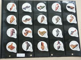 Serie       7590 A         Schuhe             AZM     Gastro
