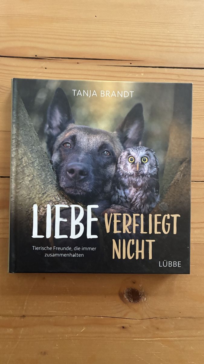 Libri: 4 Bücher Tanja Brandt – Usato da Pignia venduto da nelson80 2