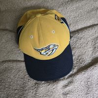 Cap NHL Predators