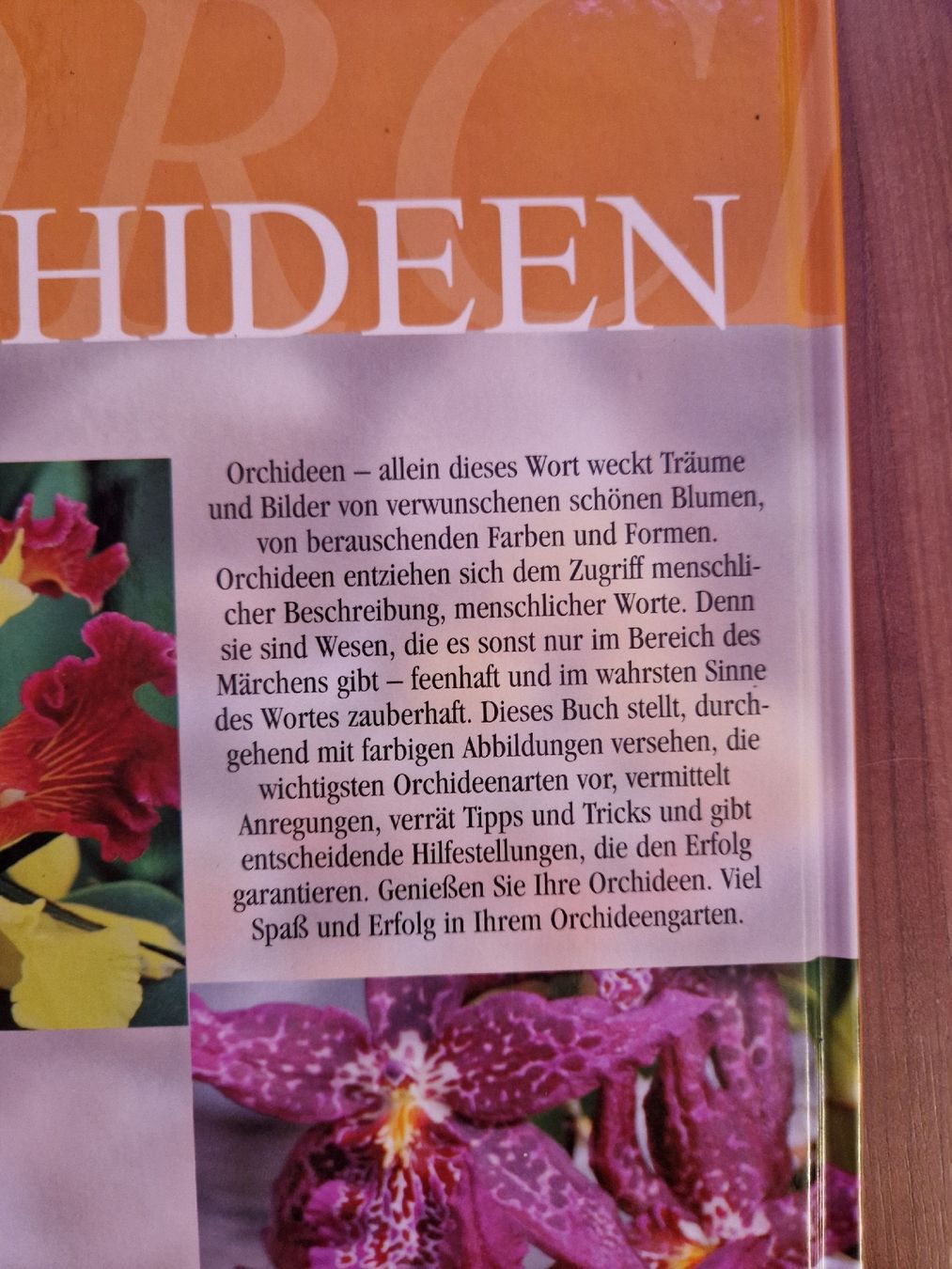 Libri: Buch Orchideen – Usato da Thayngen venduto da Lan222 2