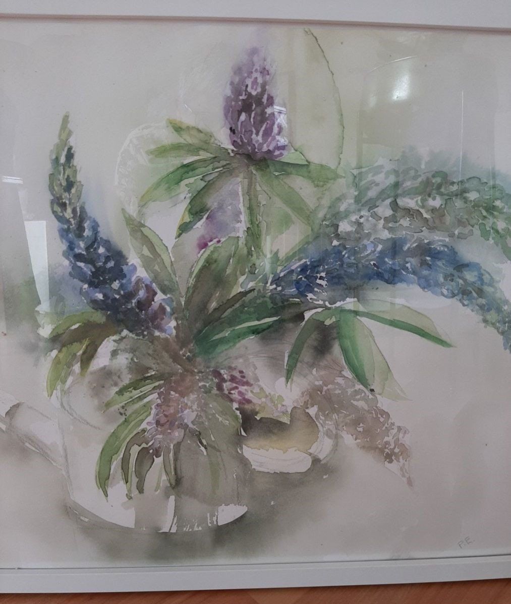 Poster & Bilder: Bild im weissem Rahmen 53 x 45 – Gebraucht aus Amriswil von used2use 2