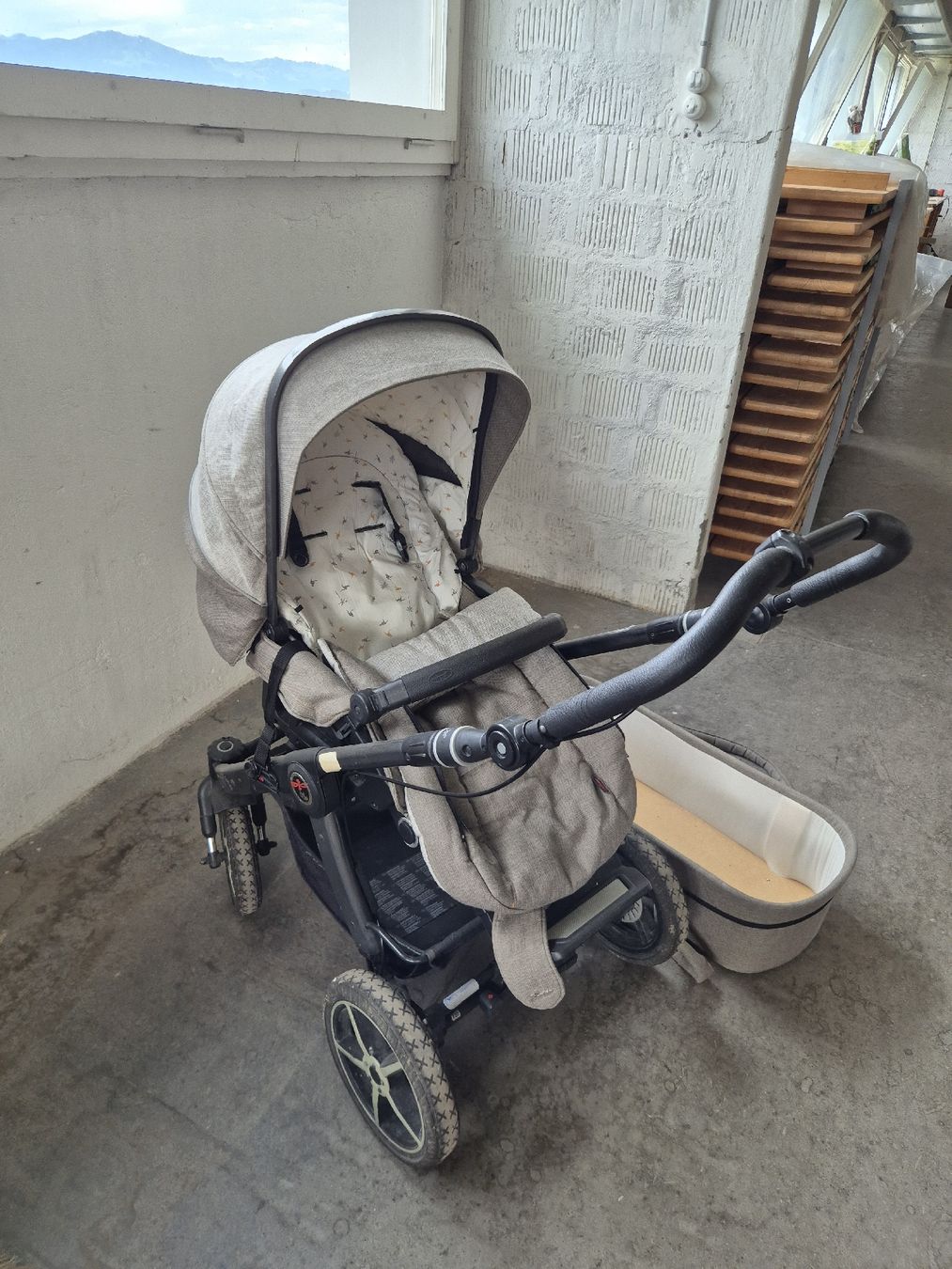 Hartan Carrozzine: Hartan Racer Kinderwagen mit Handbremse – Usato da Uznach venduto da Serto.22 1