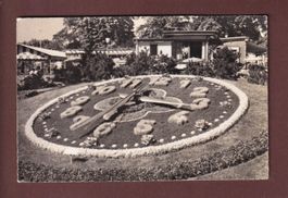 GENEVE - Horloge fleurie - 1962