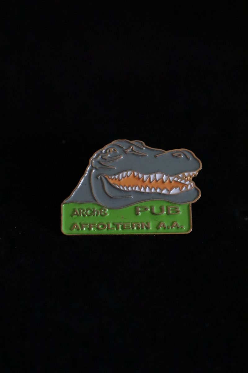 Placchette & Badge: Arche Affoltern am Albis PIN‘s – Usato da Ottenbach venduto da siiinnaa_77 3