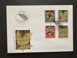 Erstagsbrief  FDC PJ 1993 (R456)