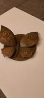 schmetterling