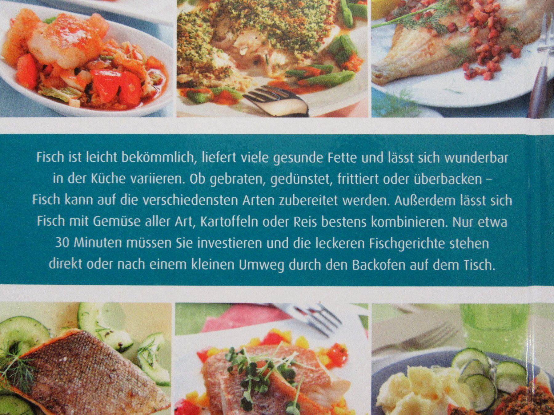 Libri: Fisch - Dr. Oetker - Blitz-Kochen – Usato da Auenstein venduto da Padabimbim 1