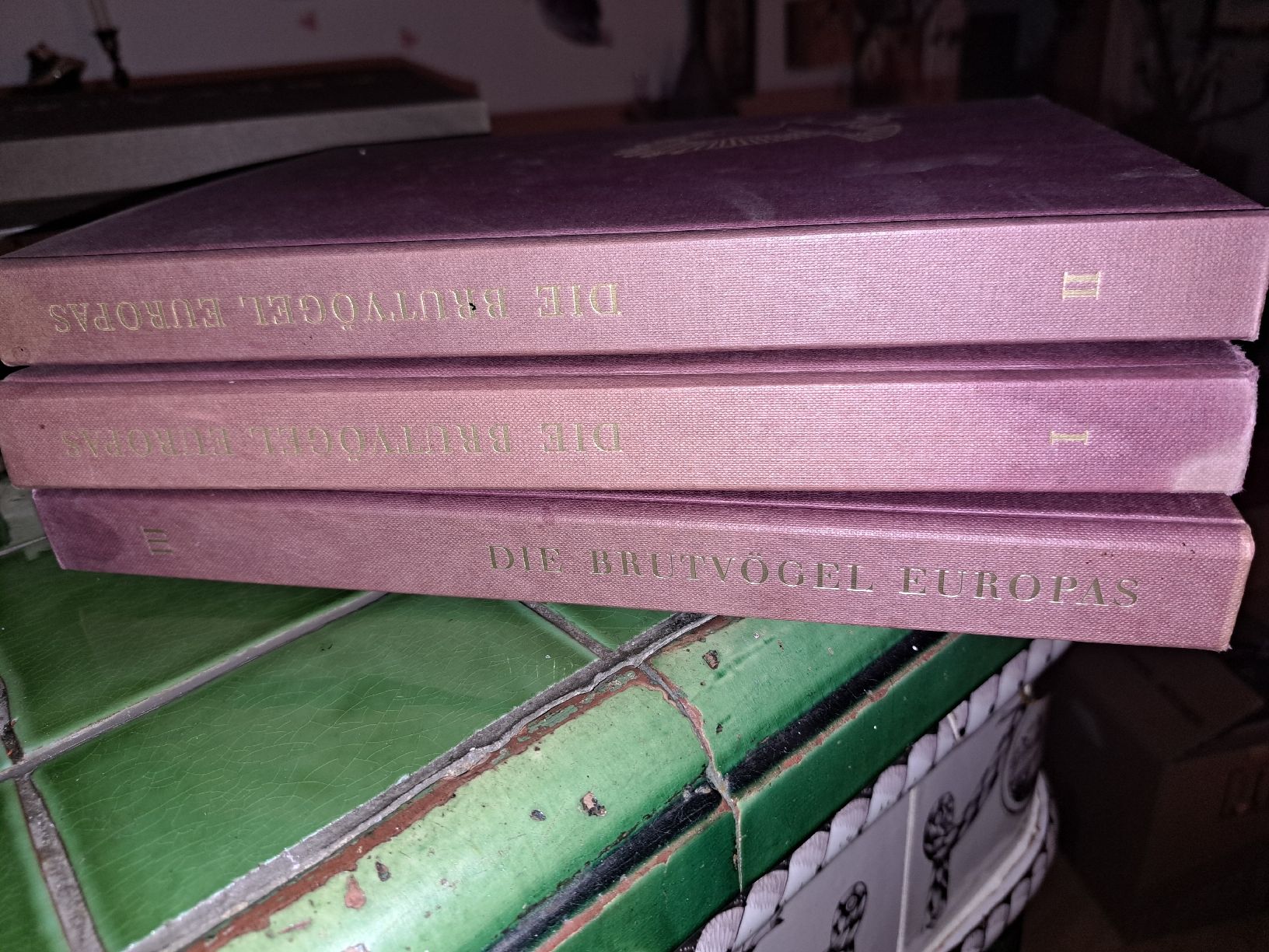 Libri: DIE BRUTVÖGEL EUROPAS –  3 Bücher  – Usato da Kölliken venduto da Upcycling-by-Mc-TAM 1