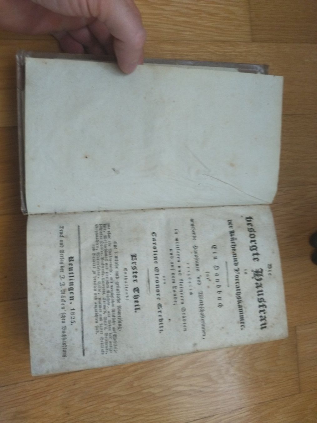 Libri: Kochbuch antik 1825 1. Ausgabe – Usato da Felben-Wellhausen venduto da bananajoe8474 2