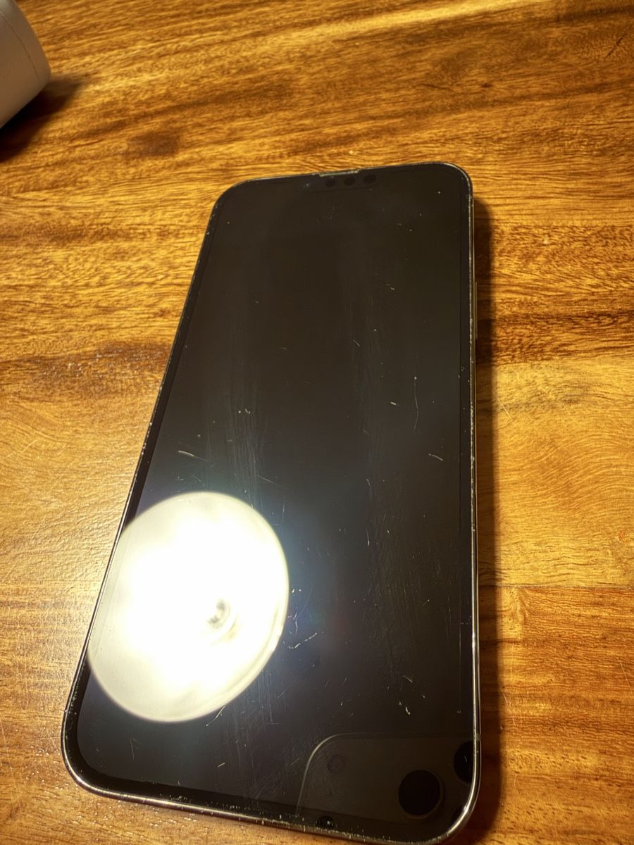Apple Telefoni cellulari / Smartphones: iPhone 13 Pro Max 256GB + Schutzfolie – Usato da Luzern venduto da Setuper 1
