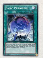 Yu-Gi-Oh! Caldo Primordial ORCS-SP056 Spanisch Common 1. Auf