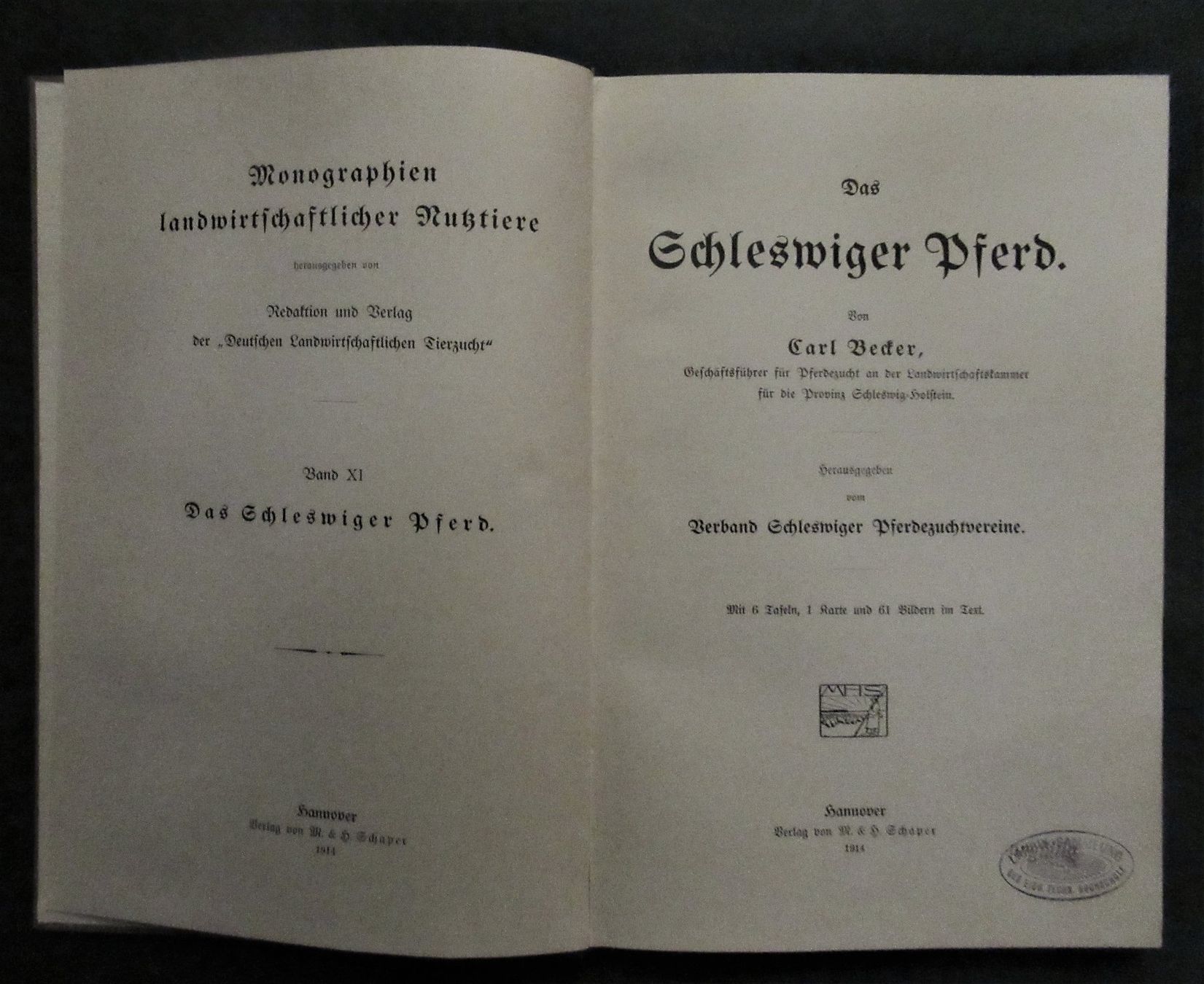 Bücher: * Pferde   Pferdezucht    Schleswiger Pferd   Reiten – Gebraucht aus hedingen von kurattli01 1