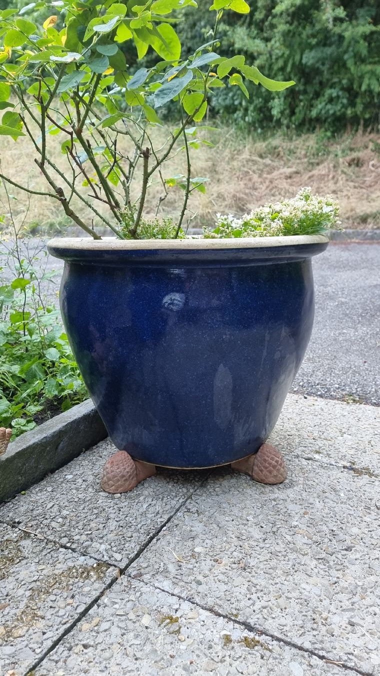 Blumentöpfe: Keramiktopf dunkelblau – Gebraucht aus Twann von MW51