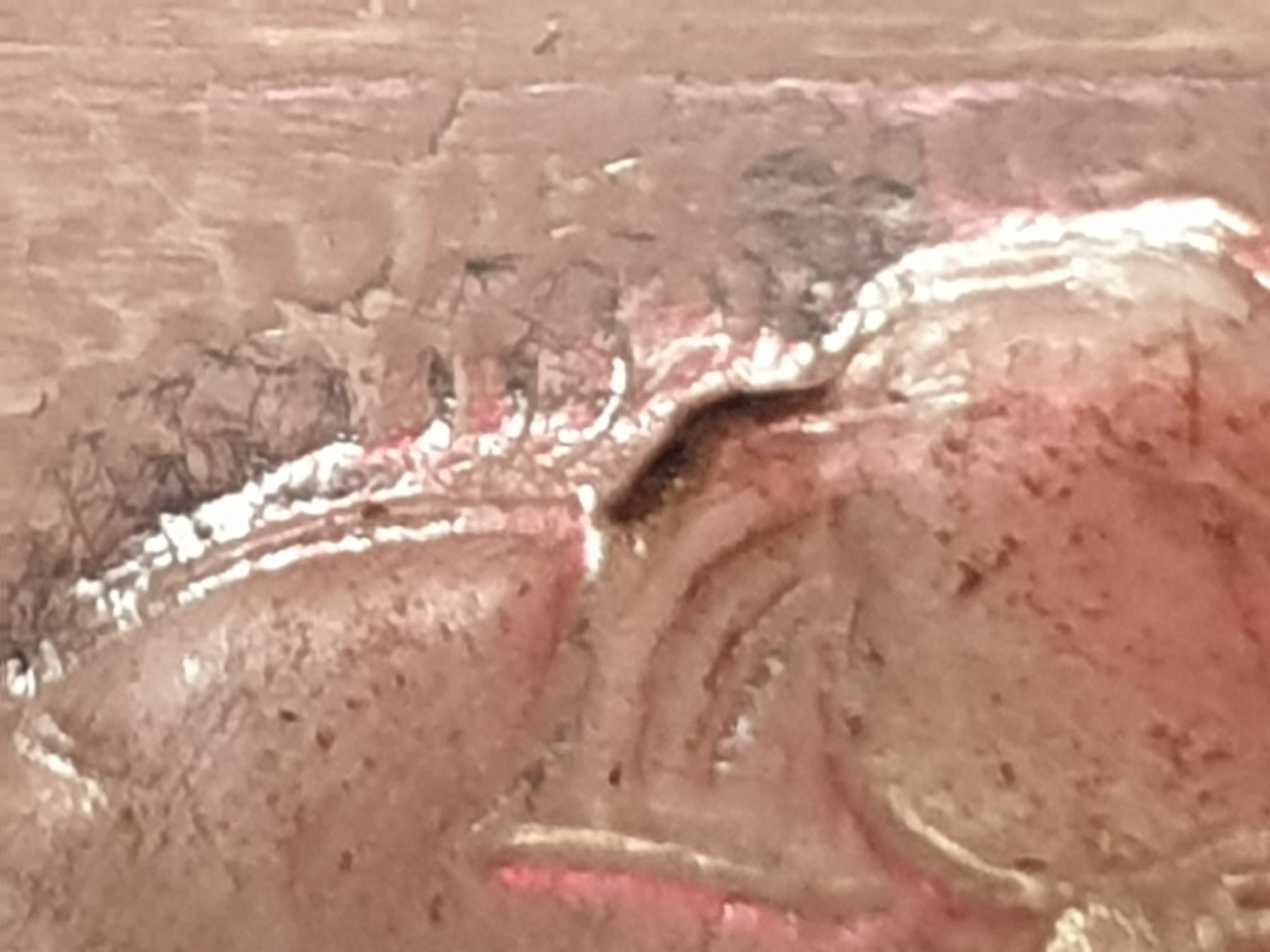 Zuckerdosen: Elefant Dose Silber 925 – Gebraucht aus Mörschwil von spirspi 8